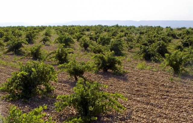 Bienvenido a nuestra finca